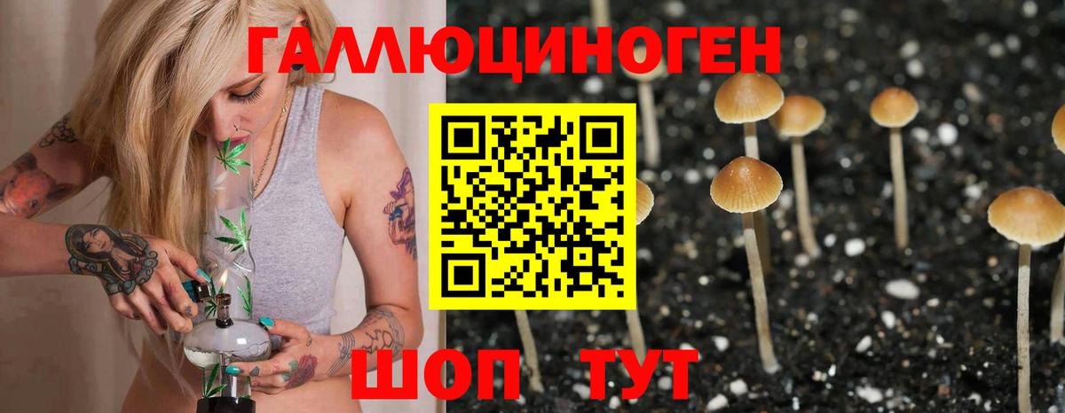 Нальчик  Галлюциногенные грибы MAGIC MUSHROOMS  Вход с VPN  Псилоцибиновые грибы Psilocybe 